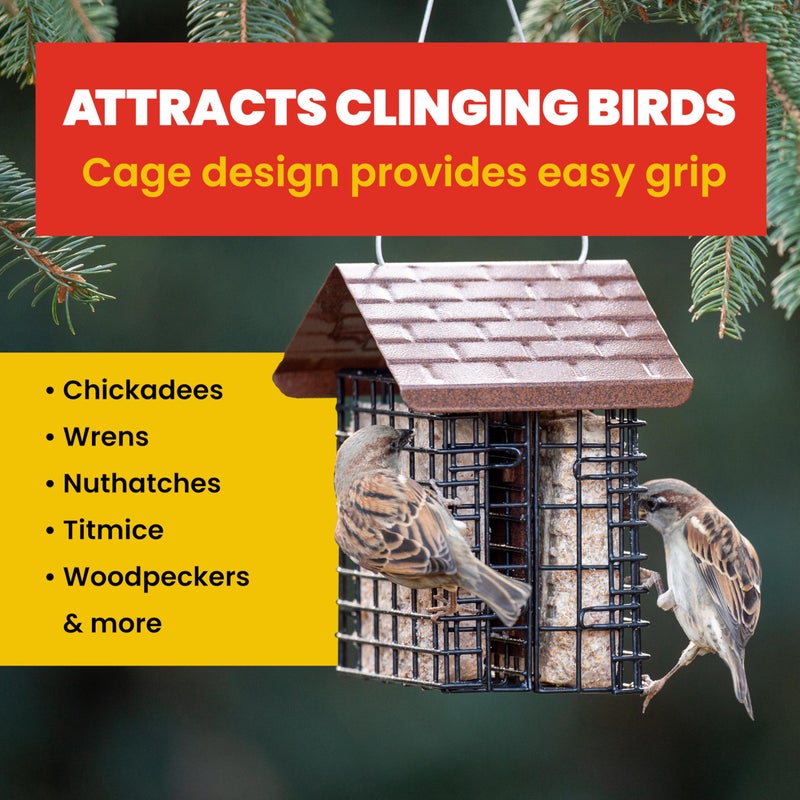 More Birds Double Suet Feeder with Weather Guard, 6.5" L X 4.25" W X 7.25" H, Brown - Image 5